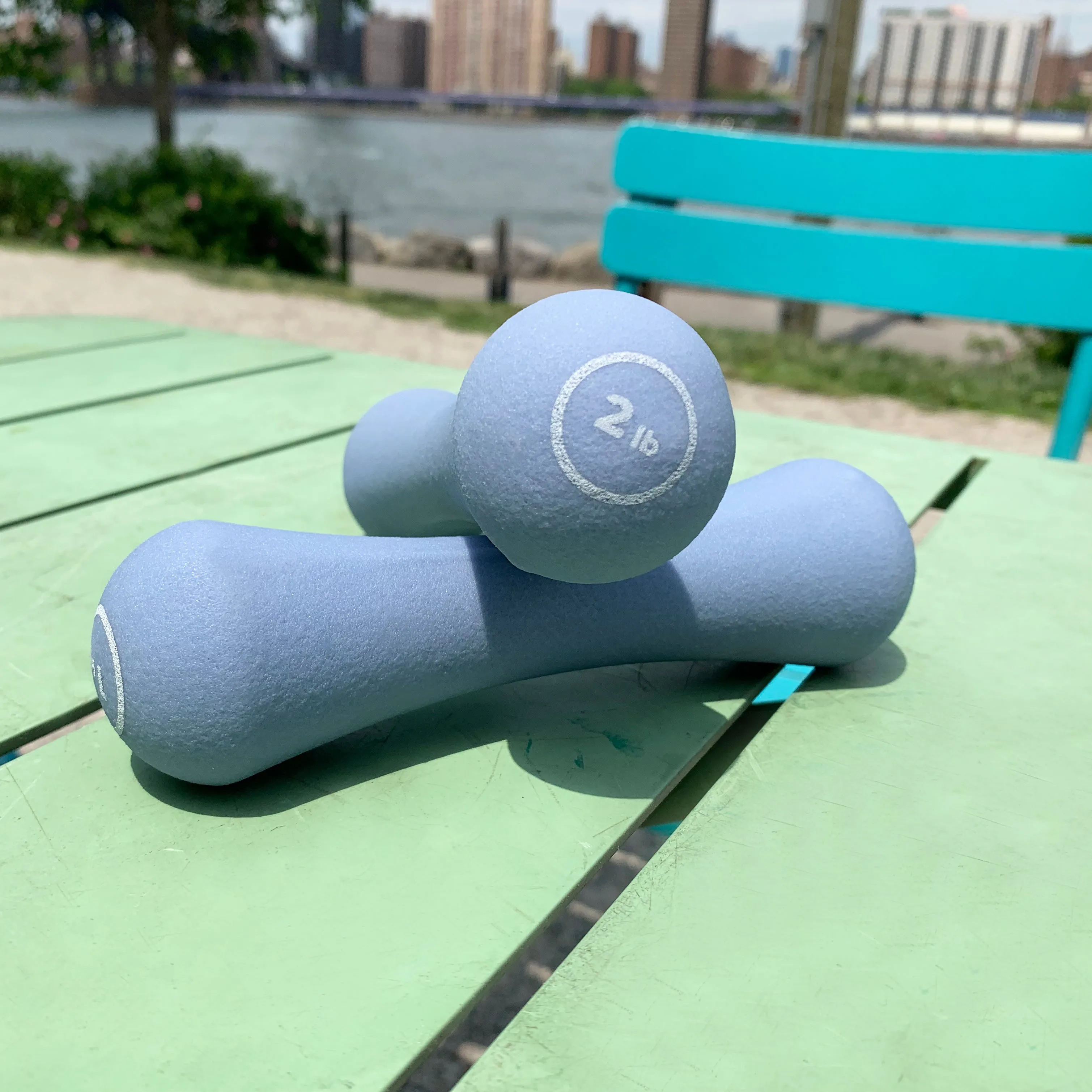 2 Pound Dumbbells