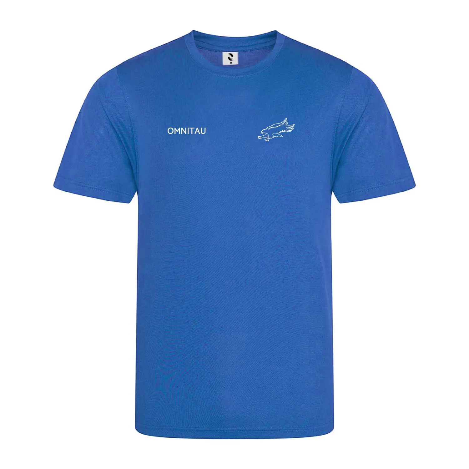 ACS Hillingdon Men's PE Technical T-Shirt - Royal Blue