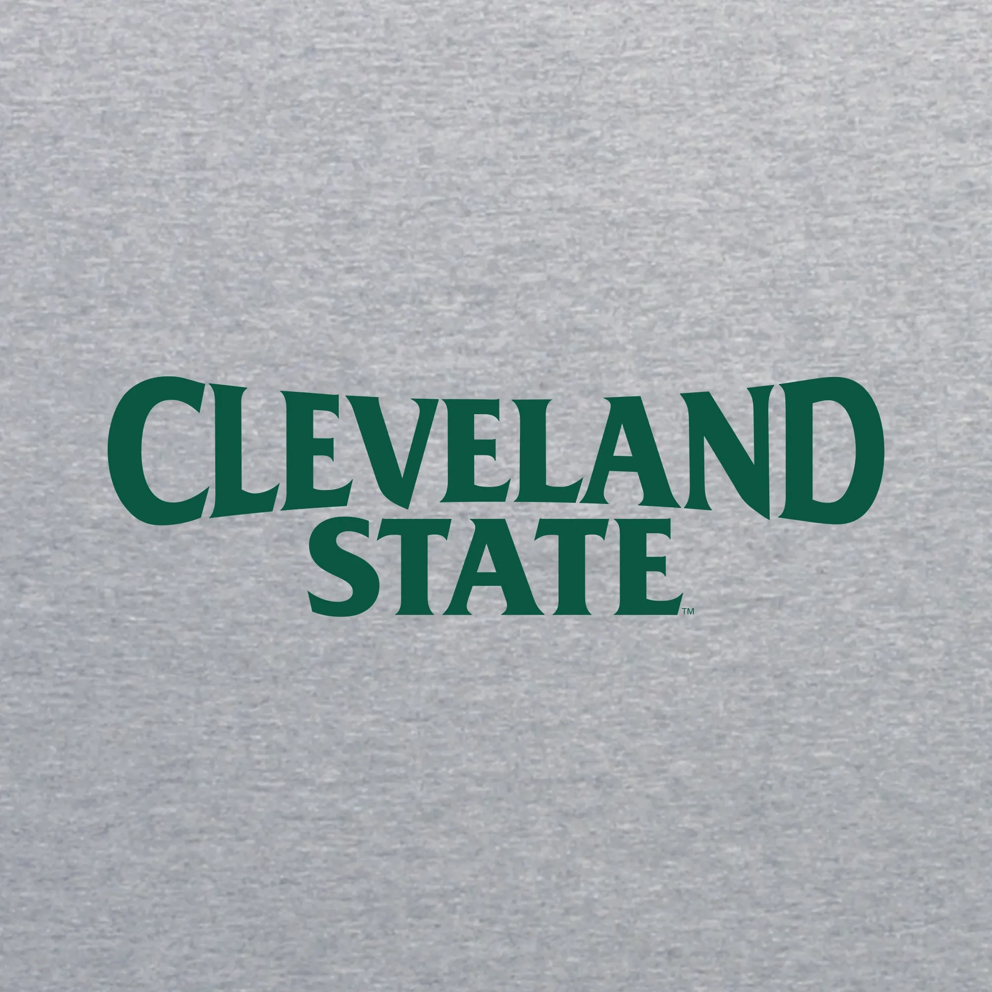 Cleveland State Vikings Basic Block T Shirt - Sport Grey