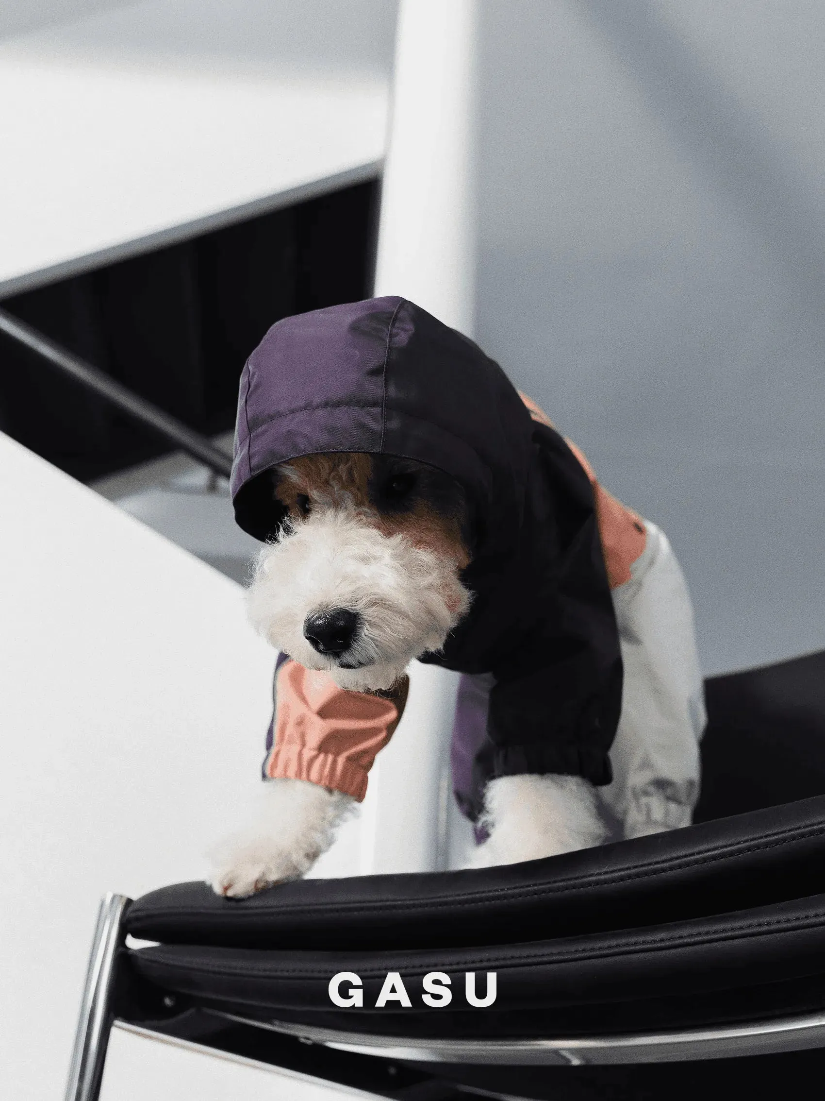 Detachable 4-Leg Dog Raincoat | Peach Khaki