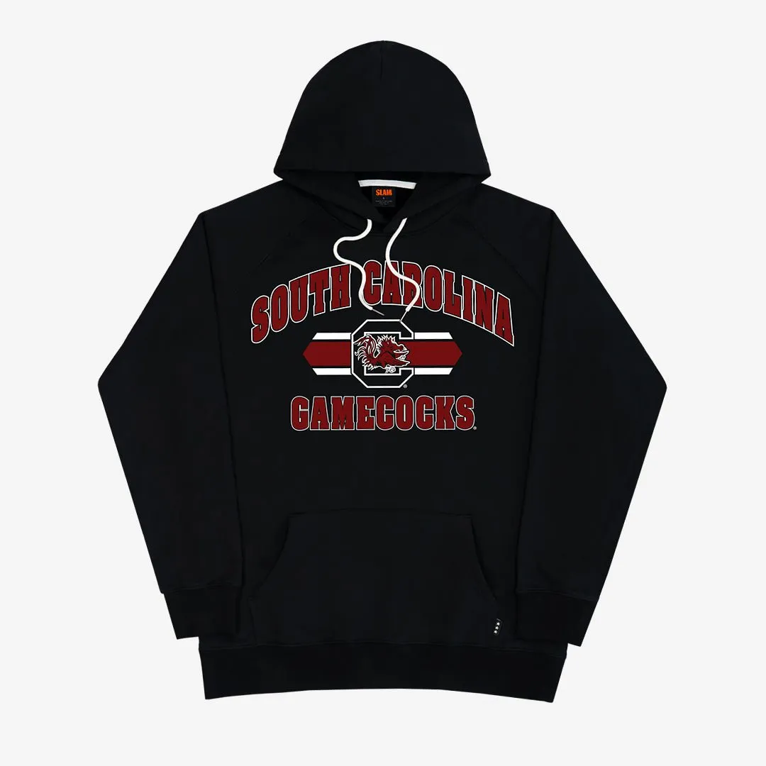 South Carolina Logo Stripe Hoodie